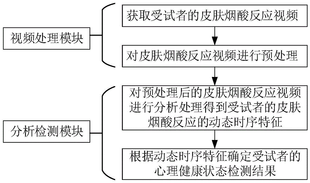 一种基于皮肤烟酸反应视频分析的心理健康状态检测装置