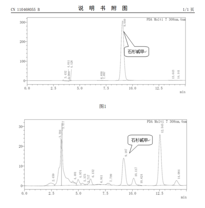 一种千层塔内胶孢炭疽菌及其应用