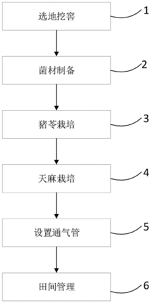 天麻猪苓立体栽培方法CN116830966B